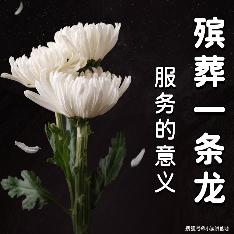 参加白事有什么忌讳